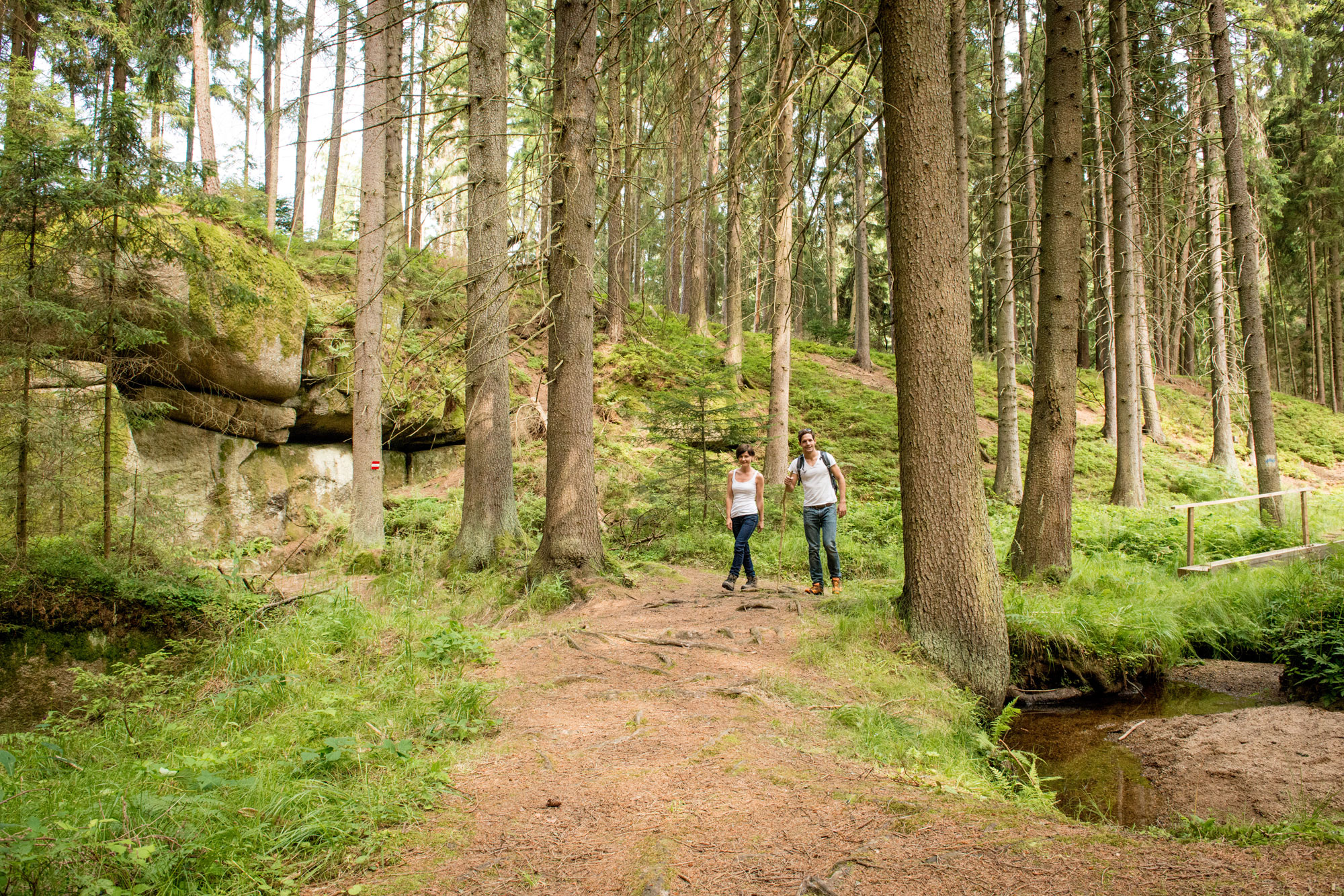 Höllgraben Bei Litschau I Naturerlebnisse Im Waldviertel